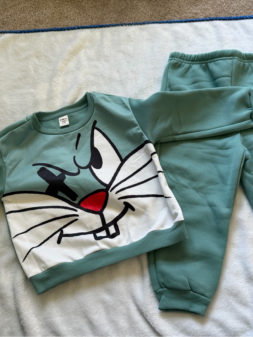 SHEIN Kids Teal Bugs Bunny Sweatshirt & Joggers Set